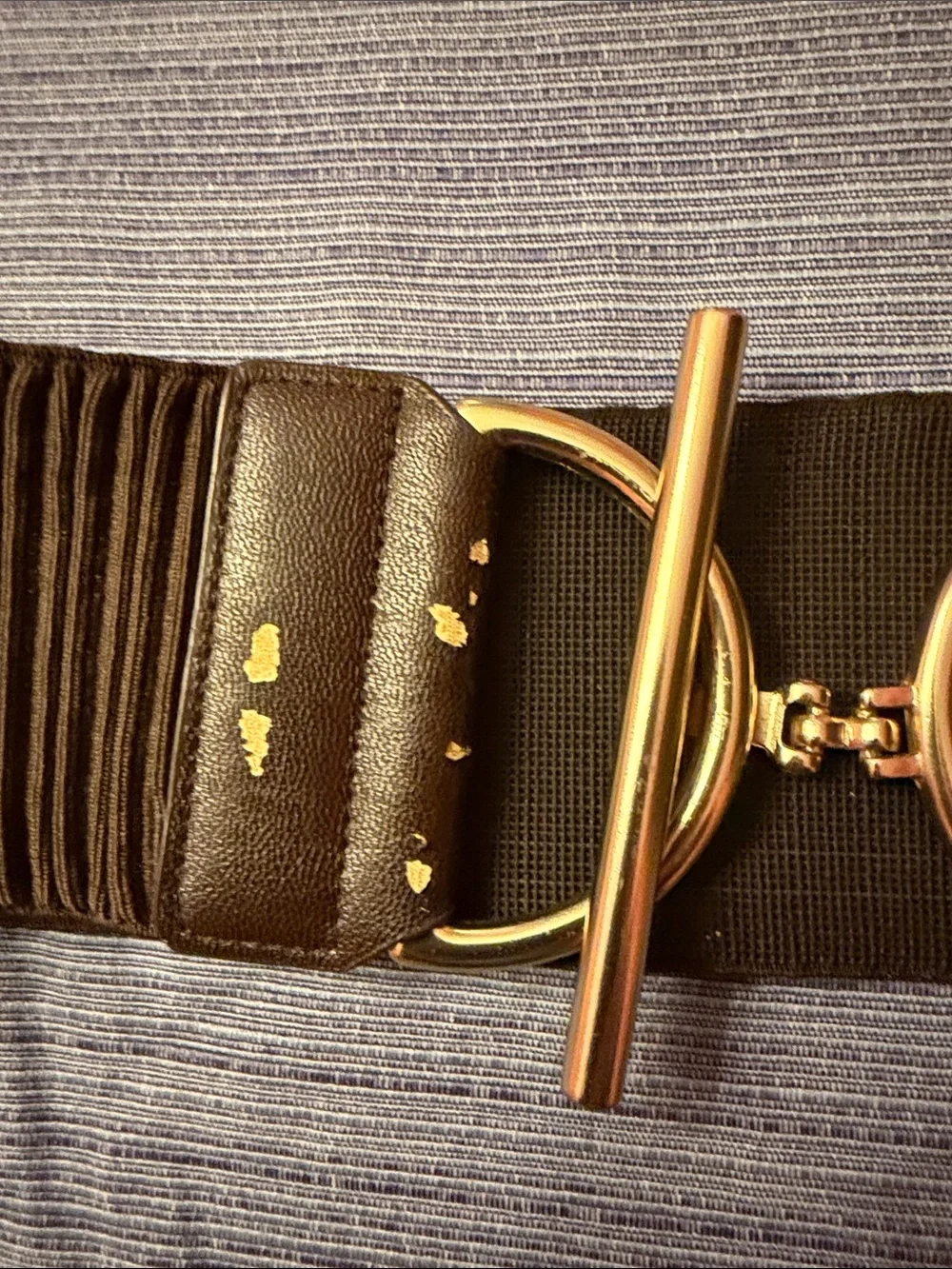 Women's Wide Elastic Belt with Gold Toggle Hardware - Brown